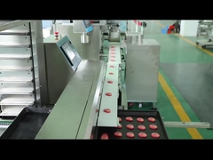 دستگاه تولید بیسکویت 100 گرمی کوکی های خرد شده